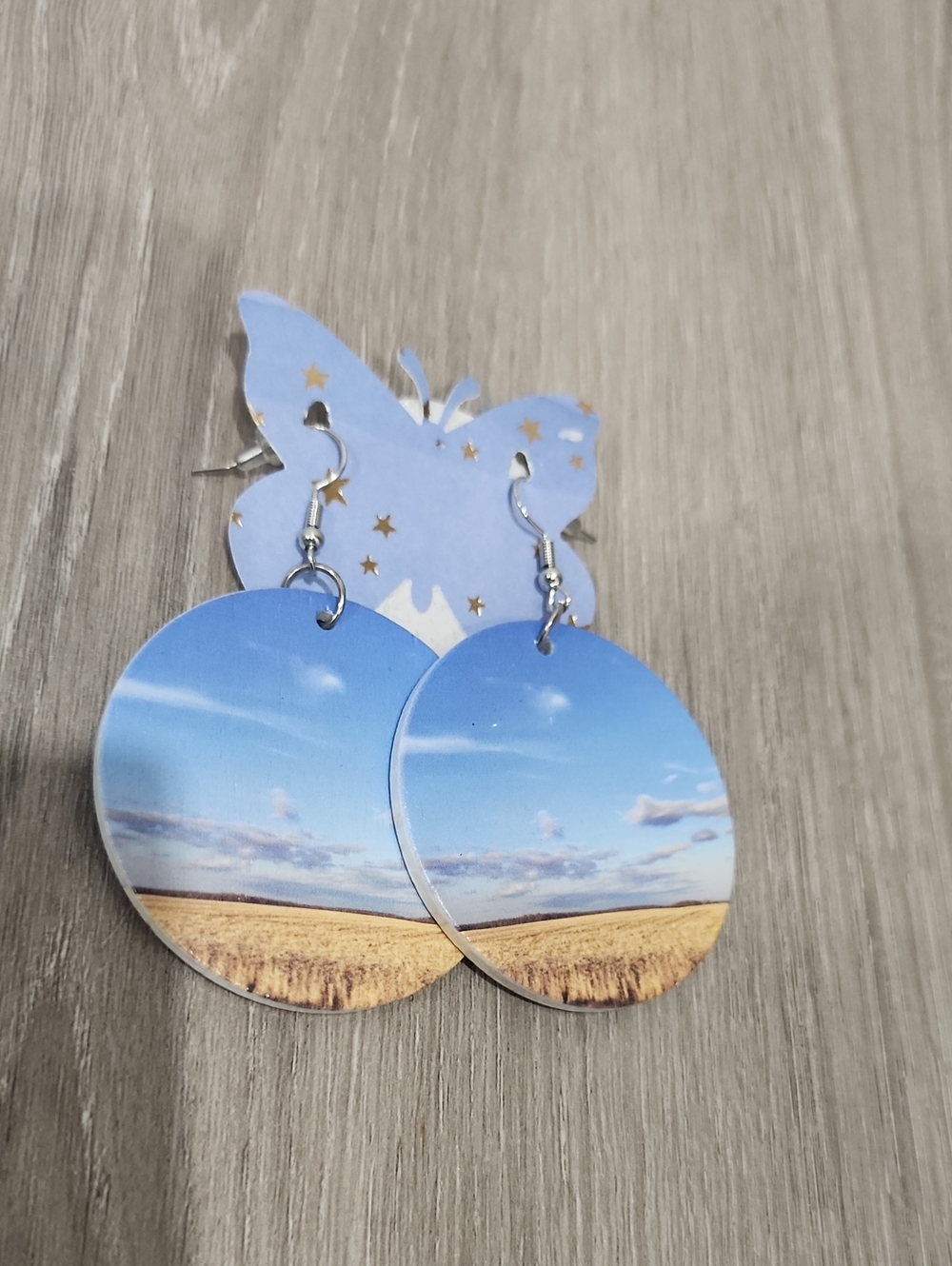 🐛Nikolina Photography Landscape Print Dangle Earrings in Blue & Brown Like New
